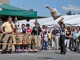 DSC_4135_DXO